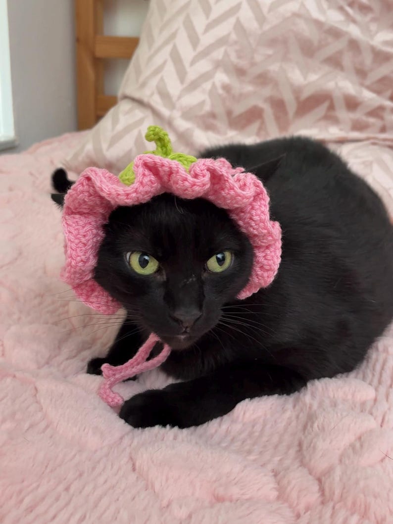 May include: A black cat wearing a pink crocheted flower hat with green accents and pink ties. The cat is lying on a pink, textured blanket. The hat resembles a flower.
