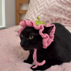 May include: A black cat wearing a pink crocheted flower hat with a green stem and leaves. The cat is lying on a pink, fluffy blanket. The hat has a ruffled edge and ties under the chin.