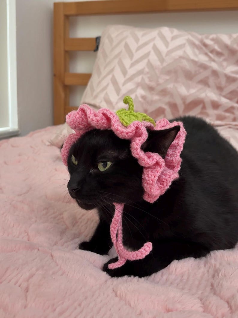 May include: A black cat wearing a pink crocheted flower hat with a green stem and leaves. The cat is lying on a pink, fluffy blanket. The hat has a ruffled edge and ties under the chin.