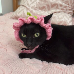 May include: A black cat wearing a pink crocheted flower hat with a green stem and leaves. The cat is lying on a pink, fluffy blanket. The background includes a patterned pillow and wooden furniture.