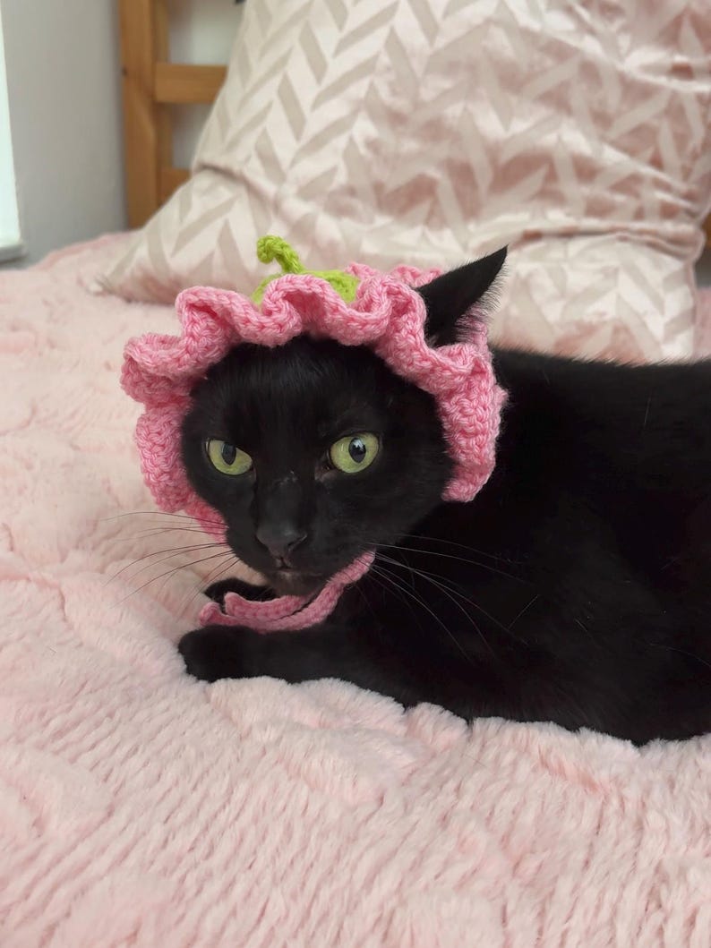 May include: A black cat wearing a pink crocheted flower hat with a green stem and leaves. The cat is lying on a pink, fluffy blanket. The background includes a patterned pillow and wooden furniture.