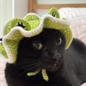May include: A black cat wearing a handmade crochet frog hat. The hat is lime green with white edging and black eyes. The cat is looking to the side. The hat has a tie under the chin.