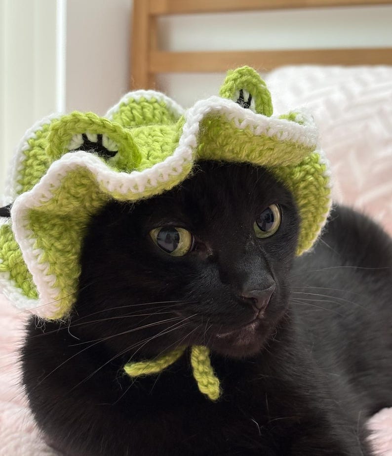 May include: A black cat wearing a handmade crochet frog hat. The hat is lime green with white edging and black eyes. The cat is looking to the side. The hat has a tie under the chin.