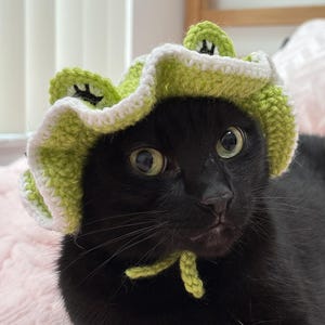 May include: A black cat wearing a handmade crochet frog hat. The hat is green and white, with frog-like features. The cat has green eyes and a curious expression. The hat is tied under the chin with a green yarn tie.