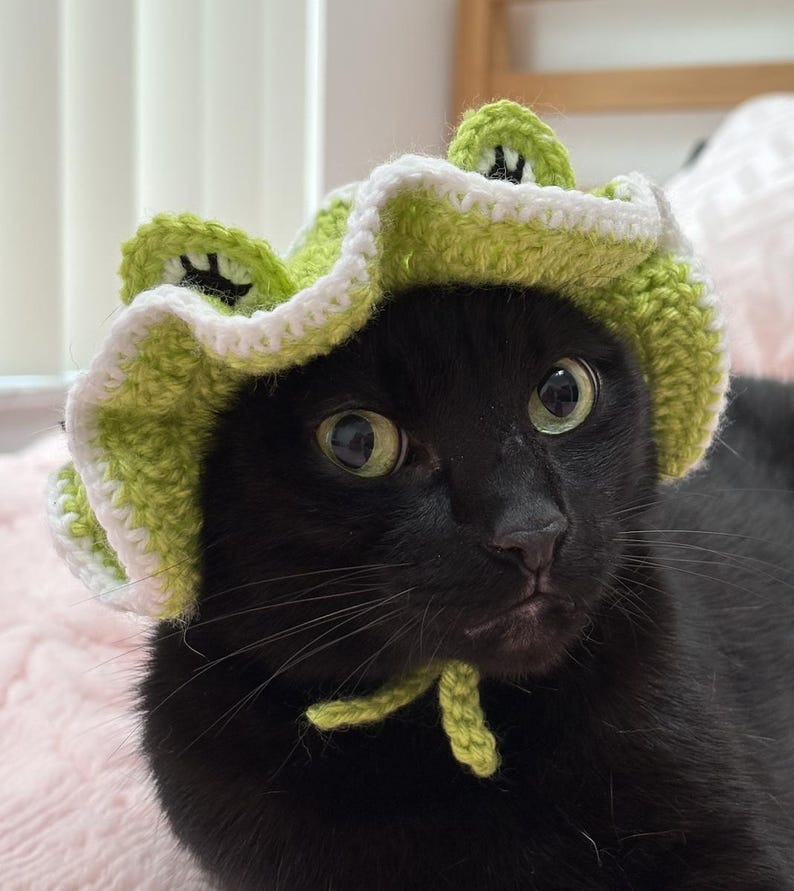 May include: A black cat wearing a handmade crochet frog hat. The hat is green and white, with frog-like features. The cat has green eyes and a curious expression. The hat is tied under the chin with a green yarn tie.