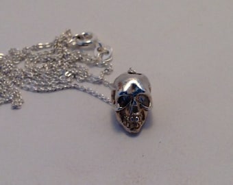 May include: A silver skull pendant necklace with a delicate chain. The skull is detailed with a textured surface and features a prominent nose and teeth.