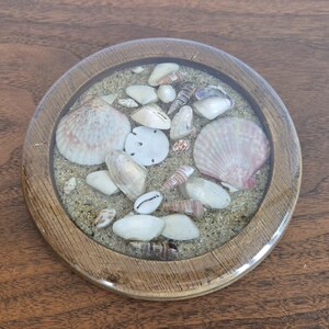 May include: A circular coaster featuring a wooden frame and a clear resin top. Inside the resin, a layer of light tan sand is embedded with various small white and pink seashells, including a flat sand dollar and several spiral-shaped shells.