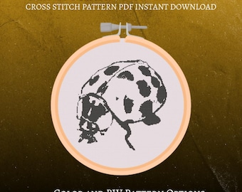 Noah Kahan TGD Ladybug Cross Stitch Pattern (PDF Download)