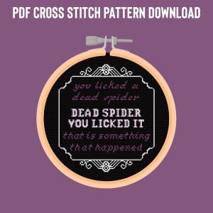 Gale Dekarios &quot;You Licked a Spider&quot; Baldur&#39;s Gate 3 Cross Stitch Instant Pattern Download