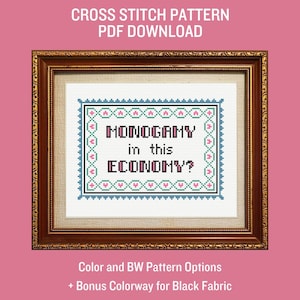 May include: Cross stitch pattern PDF download for a framed design that reads "MONOGAMY in this ECONOMY?" with a pink and green floral border.
