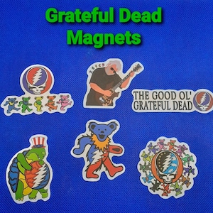 6 Grateful Magnets Colorful Bears Skull Music Band Themed 2 1/2 to 3 Inches