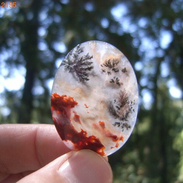 Robinson Ranch Plume Agate Cabochon Beautiful Rare Gem Polished