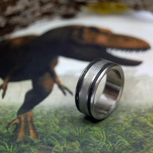 May include: A silver ring with two black bands around the centre. The ring is sitting on a green surface with a dinosaur in the background.