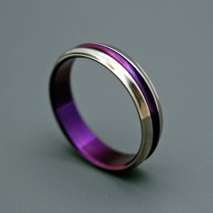 May include: A silver titanium ring with a purple inlay. The ring has a polished finish and a smooth surface.