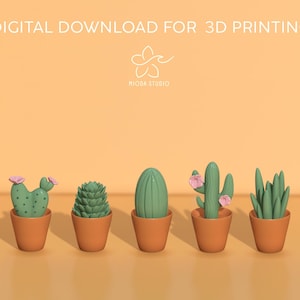 Cactus magnets 3d printed digital file, house decor, refrigator ornaments magnets.