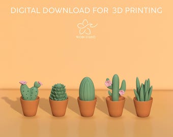 Cactus magnets 3d printed digital file, house decor, refrigator ornaments magnets.