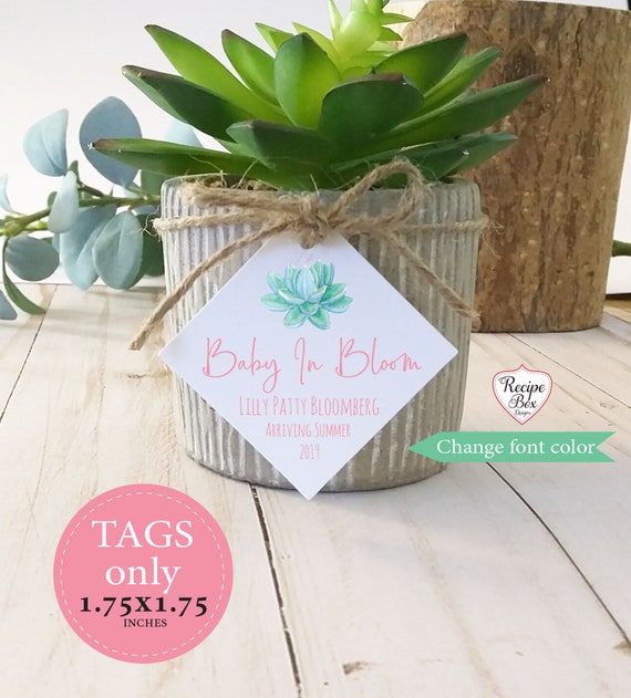 baby in bloom baby shower favors