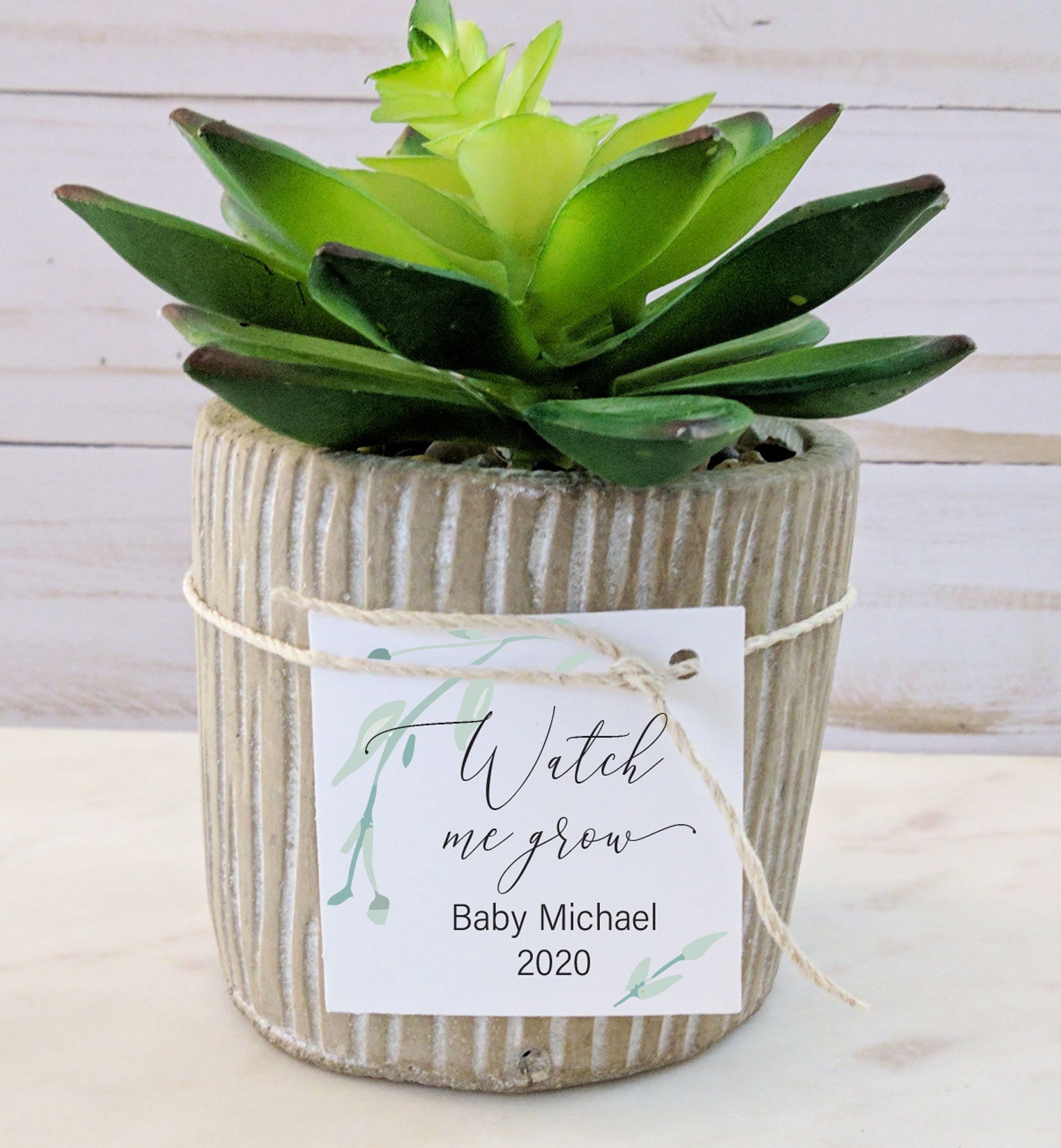 Watch me Grow, Baby Shower Plant Favor Plant Tags Only, 1
