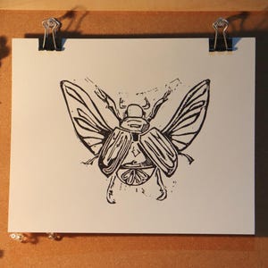Puede incluir: Una impresión rectangular blanca que presenta una ilustración en linóleo con tinta negra de un escarabajo con las alas extendidas. El insecto se muestra desde una perspectiva cenital con líneas detalladas que muestran las venas alares.