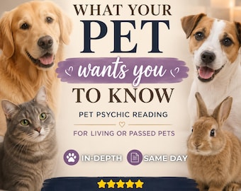 Pet Psychic Reading, Was Ihr Haustier möchte, dass Sie Wissen, Tierinformation