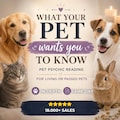 Pet Psychic Reading, What Your Pet Wants You To Know, Animal Communication