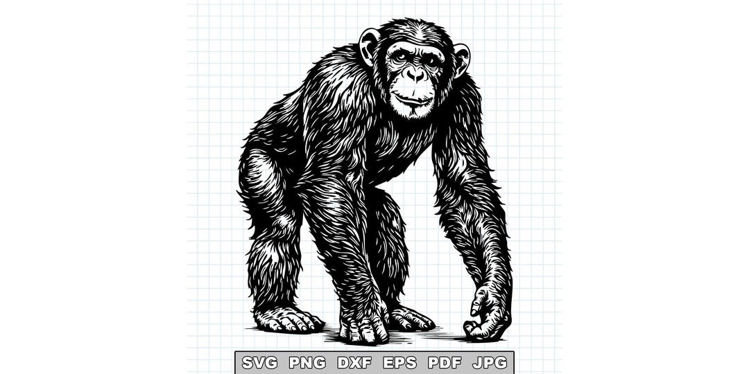 Chimpanzee SVG, Monkey SVG Cut File, Primate Svg, Ape Vector, Jungle ...