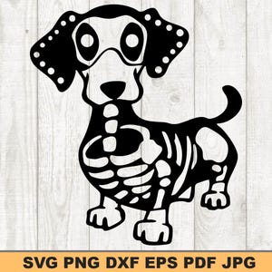May include: Black and white illustration of a dachshund dog skeleton. The dog is standing with its tail up and its skeleton visible. The image includes the text "SVG PNG DXF EPS PDF JPG" at the bottom.