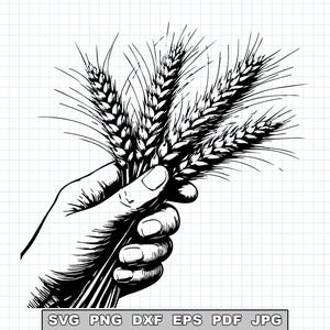 Puede incluir: Ilustración en blanco y negro de una mano sosteniendo un manojo de espigas de trigo. El dibujo es detallado, con sombreado. El trigo se representa con líneas finas. El fondo tiene un patrón de cuadrícula.