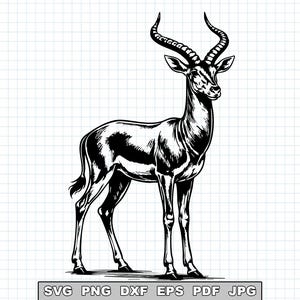 May include: A detailed black and white illustration of an impala. The animal is depicted in a standing pose, showcasing its slender legs, curved horns, and detailed facial features. The image includes file type options: SVG, PNG, DXF, EPS, PDF, and JPG.