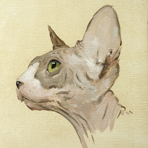 Sphynx dipinto ad olio originale unico nel suo genere - ritratto di gatto dell'artista britannico j Payne