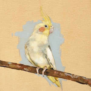 Arte della fauna selvatica di Cockatiel - pittura a olio originale / ritratto di uccello pappagallo corella