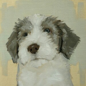 Pittura a olio del cane Bearded Collie - Ritratto originale dell'animale domestico dell'artista britannico j Payne