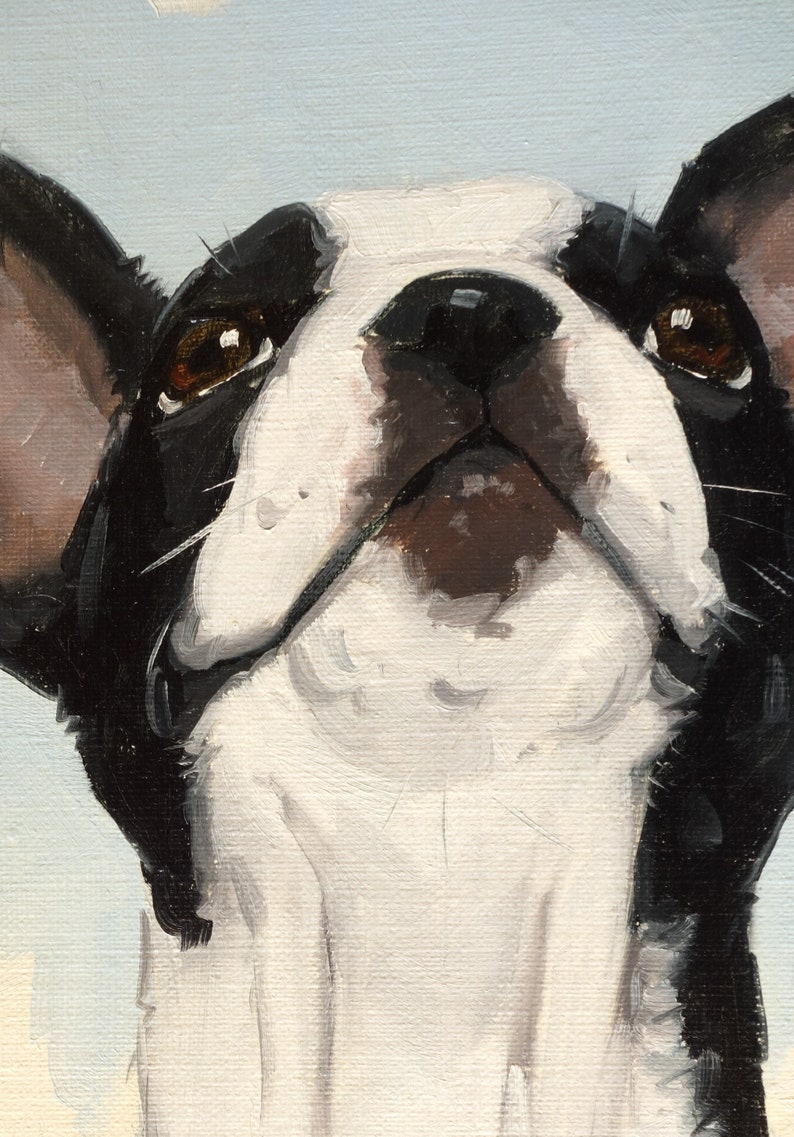 French bulldog Original oil painting pet portrait by UK artist j Payne image 3