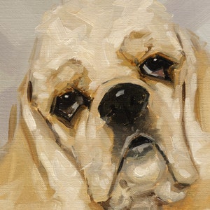 American cocker spaniel dog original oil painting pet portrait by UK artist j Payne image 3