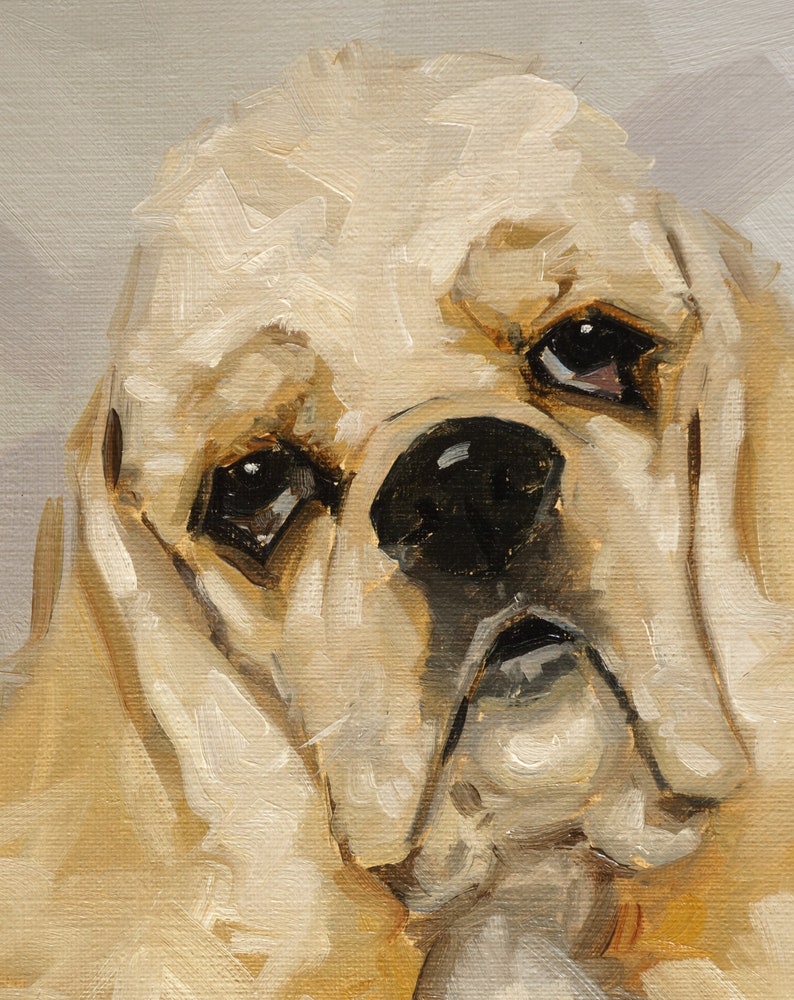 American cocker spaniel dog original oil painting pet portrait by UK artist j Payne image 3