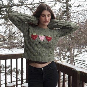 May include: An olive green sweater with a diamond pattern and three strawberry appliqués. The strawberries are red and pink with green leaves. The sweater is a crew neck style.