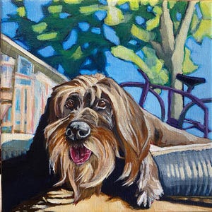 Il labradoodle Louie