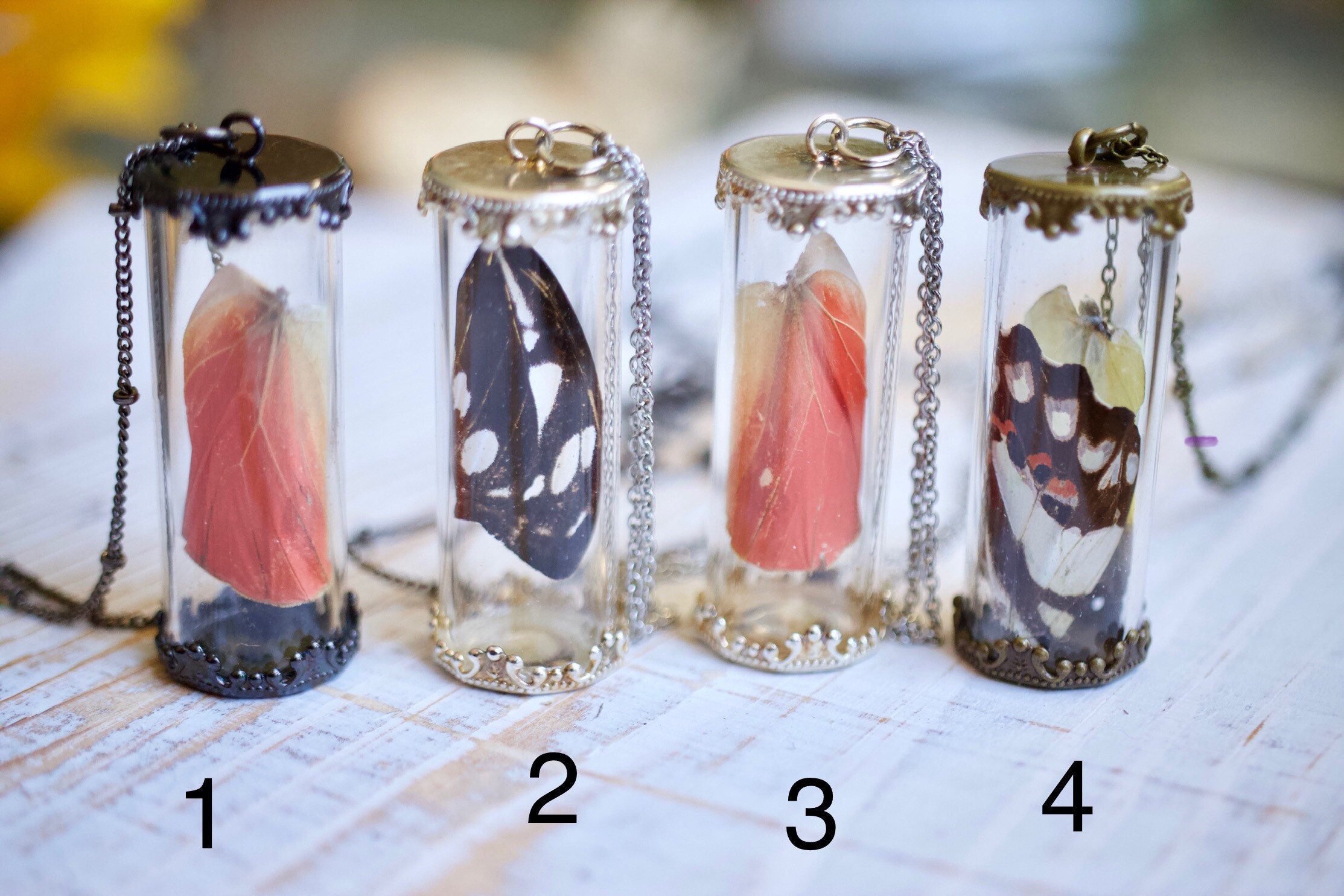 Butterfly Wing Vials Real Cruelty Free Preserved Insect Bug Etsy