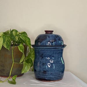 May include: A handcrafted, blue ceramic jar with a lid. The jar has a speckled texture and a dark brown base and lid top. The jar is displayed on a white surface, with a green plant in a brown pot to the left.