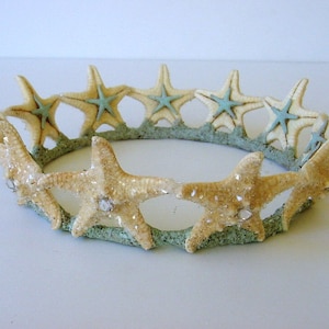 Estrellas de mar corona de sirena