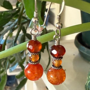 May include: A pair of dangle earrings with silver-colored hooks. Each earring features a large, round orange bead at the bottom, topped with smaller orange and amber-colored beads. The earrings are displayed against a backdrop of green foliage.