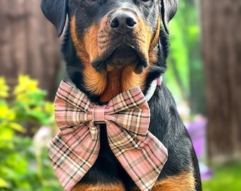 May include: A Rottweiler dog with a black and tan coat, wearing a pink plaid bow tie. The bow tie has a classic plaid pattern in shades of pink, white, and tan. The dog is looking directly at the camera with a focused expression.