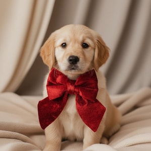 Crushed Velvet Valentines Sailor Bow – Ruby Red Collar Accessory