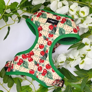 Hondentuigje kersen, schattig verstelbaar hondentuigje voor kleine honden, harnas met rode kersenprint, zacht hondentuigje van gaas, bijpassende hondenuitlaatset