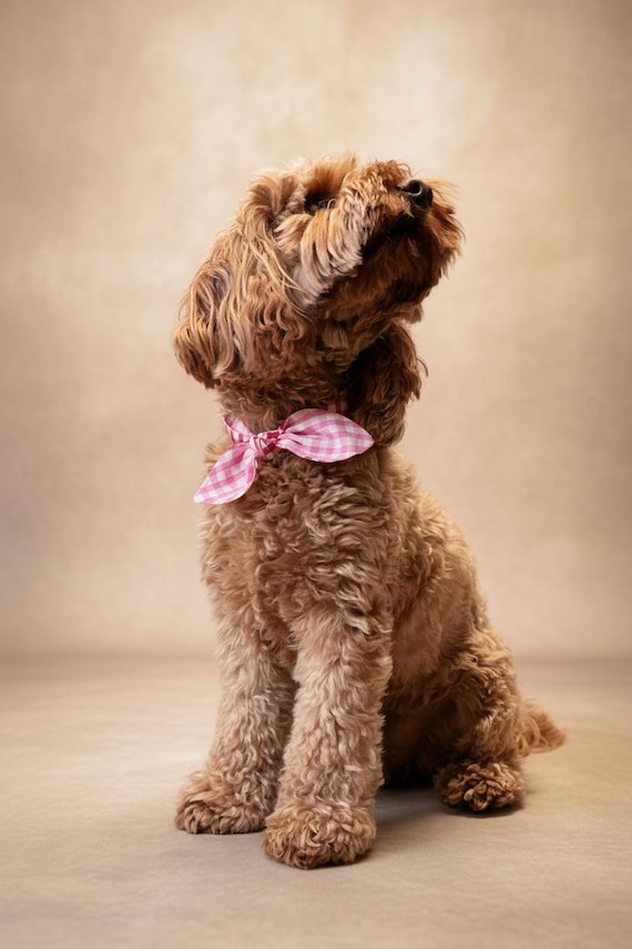 Reversible Gingham Dog Bandana – Pink Red Check Neckerchief, Tie-On Scarf Accessories