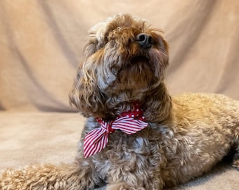 Pañuelo reversible para perro / Pañuelo para perro de rayas rojas y lunares / Bufanda para perro hecha a mano / Pañuelo para el cuello de perro de inspiración vintage / Pañuelo de verano para perro
