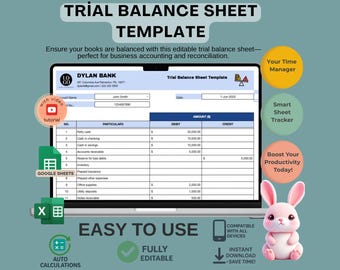 Trial Balance Sheet Template: Editable Google Sheets Accounting Ledger (Digital Download))