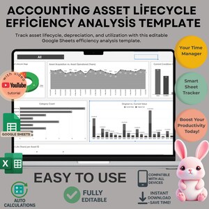 Asset Lifecycle Analysis Template: Editable Google Sheets (Digital Download)