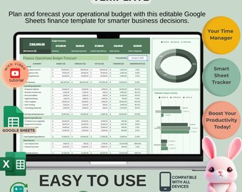 Business Budget Forecast Template: Editable Google Sheets (Digital Download)