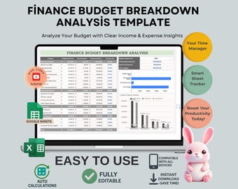 Finance Budget Analysis Template: Editable Google Sheets (Digital Download)